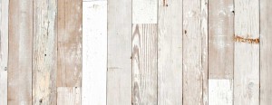 Web Design Portfolio Background